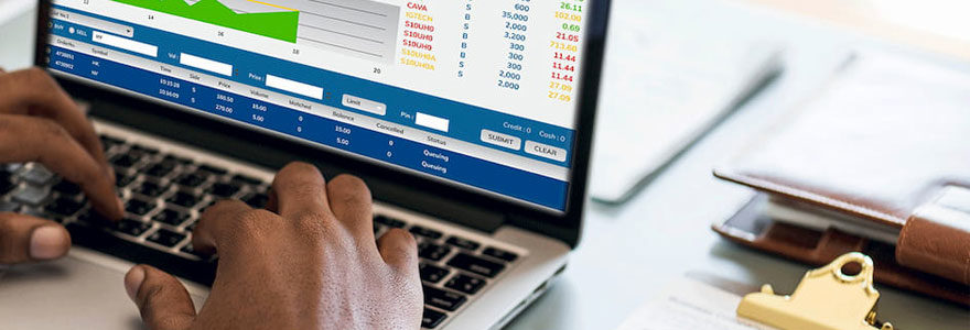 MSc Accounting, Auditing & Advisor